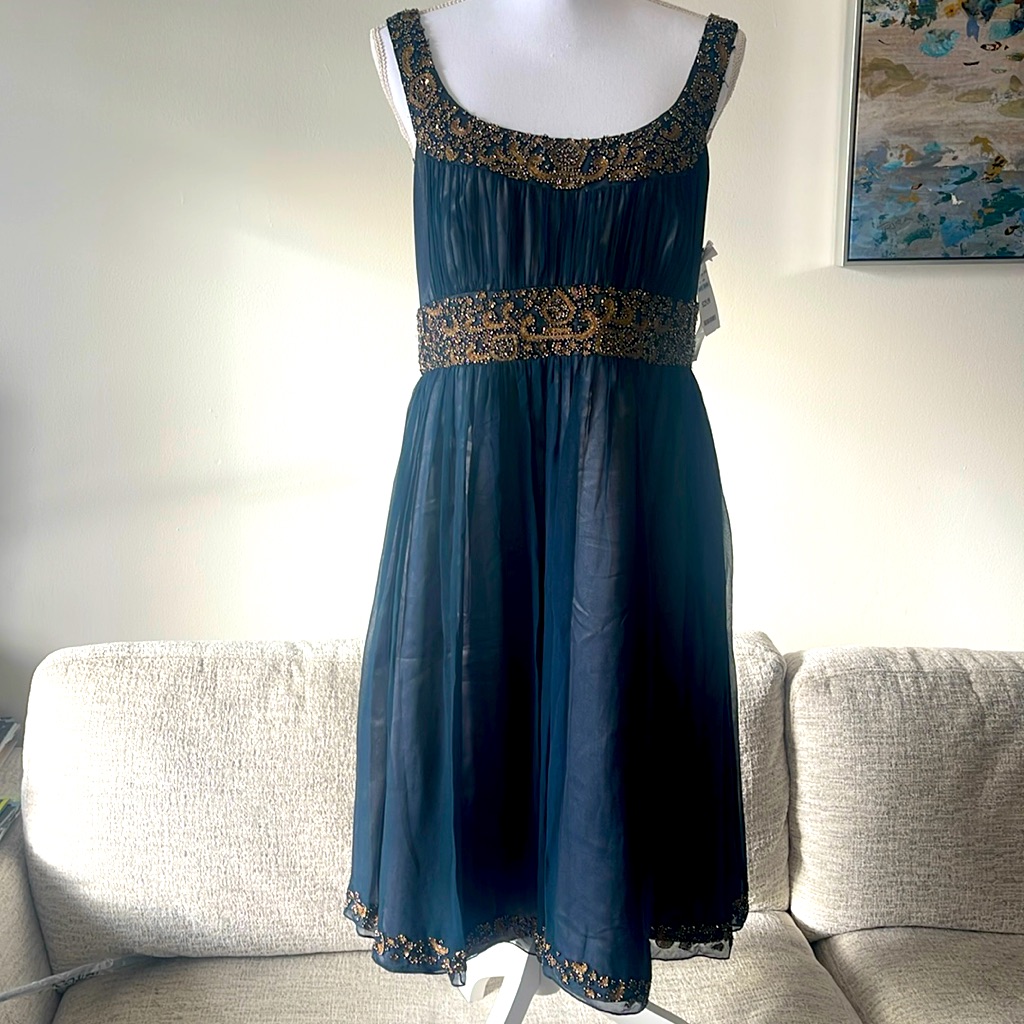 Sachin+ Babi Dress Size 6.